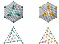 Pubblicato su Nature Communications uno studio tutto genovese Pubblicato su Nature Communications uno studio tutto genovese