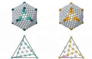 Pubblicato su Nature Communications uno studio tutto genovese Pubblicato su Nature Communications uno studio tutto genovese
