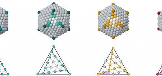 Pubblicato su Nature Communications uno studio tutto genovese Pubblicato su Nature Communications uno studio tutto genovese