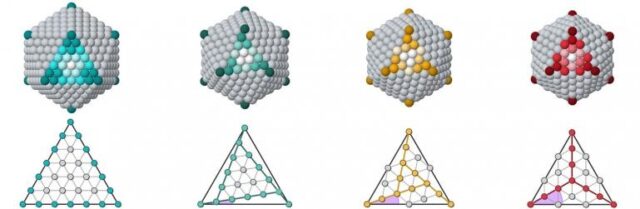 Pubblicato su Nature Communications uno studio tutto genovese