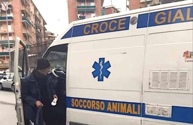 Certosa, donna aggredita da un pitbull in via Fillak