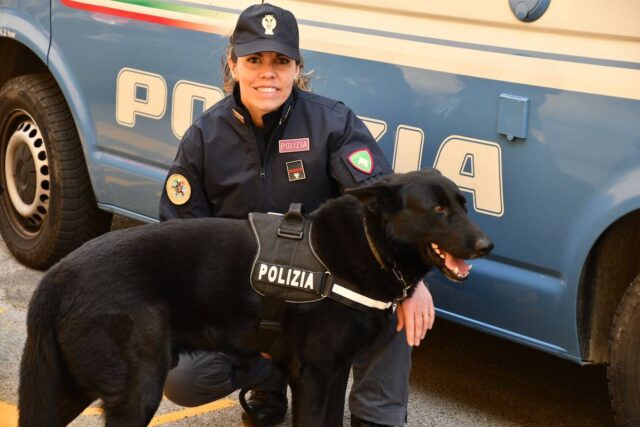 Controlli straordinari nel centro storico: sequestri di droga e sanzioni Controlli straordinari nel centro storico: sequestri di droga e sanzioni