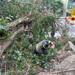Bolzaneto, alberi pericolanti rimossi dai Vigili del Fuoco