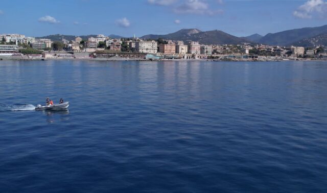 Delfini Metropolitani stagione di ricerca Fondazione Acquario di Genova Delfini Metropolitani stagione di ricerca Fondazione Acquario di Genova
