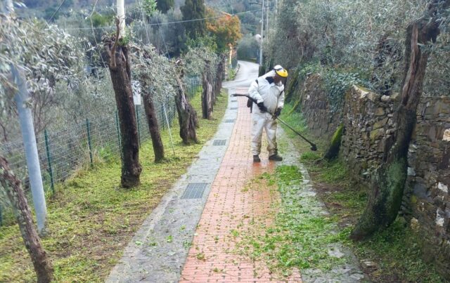 Comune di Recco, continuano le operazioni di sfalcio su strade pedonali
