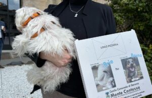 La pizza aiuta i cani: parte la nuova campagna di adozioni del canile municipale di Monte Contessa La pizza aiuta i cani: parte la nuova campagna di adozioni del canile municipale di Monte Contessa