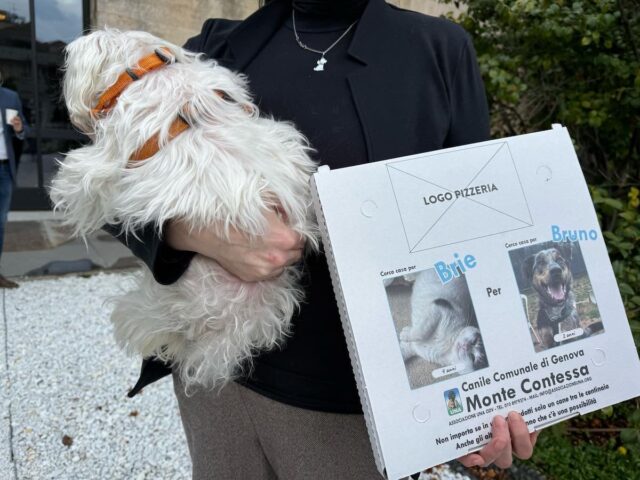 La pizza aiuta i cani: parte la nuova campagna di adozioni del canile municipale di Monte Contessa