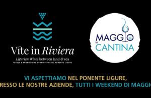 Vite In Riviera vi aspetta alla 57a edizione di Vinitaly! Vite In Riviera vi aspetta alla 57a edizione di Vinitaly!