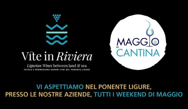 Vite In Riviera vi aspetta alla 57a edizione di Vinitaly! Vite In Riviera vi aspetta alla 57a edizione di Vinitaly!