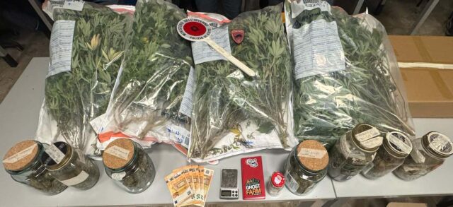piante Mariujana Sestri Ponente. Genova, 40enne arrestato: in casa 225 grammi di marijuana e 17 piante