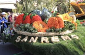 Sanremo, la città dei fiori celebra la sua tradizione con il Festival 2025 Sanremo, la città dei fiori celebra la sua tradizione con il Festival 2025