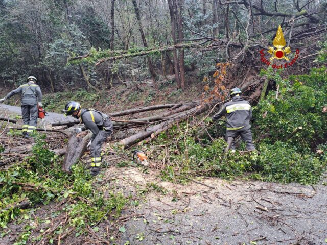 Maltempo, diversi interventi dei vigili del fuoco nel Genovesato