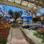 Euroflora 2025, tra fiori, sostenibilità e il florovivaismo internazionale