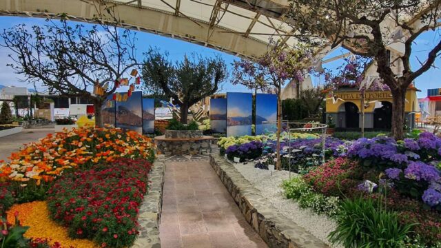 Euroflora 2025, tra fiori, sostenibilità e il florovivaismo internazionale Euroflora 2025, tra fiori, sostenibilità e il florovivaismo internazionale