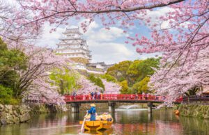 Lunaria a Levante, domani al Museo Chiossone “Quel che affidiamo al vento” Lunaria a Levante, domani al Museo Chiossone "Quel che affidiamo al vento"