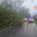 Allerta meteo a Genova: chiusi parchi, ville e cimiteri