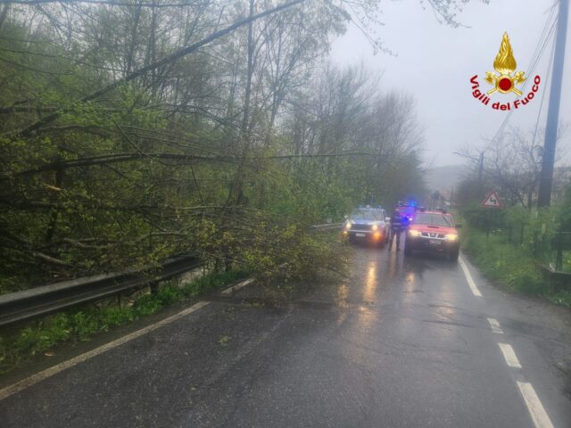 Allerta meteo a Genova: chiusi parchi, ville e cimiteri Allerta meteo a Genova: chiusi parchi, ville e cimiteri
