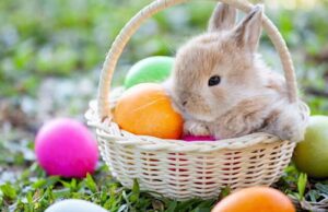 Una serena Pasqua da Liguria Notizie