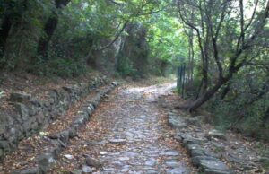 Ad Albenga nutrito programma di eventi culturali Ad Albenga nutrito programma di eventi culturali