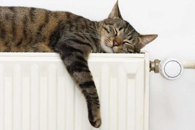 Genova, riscaldamento acceso fino al 30 aprile: via libera per 5 ore al giorno Genova, riscaldamento acceso fino al 30 aprile: via libera per 5 ore al giorno