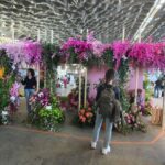 Euroflora 2025, boom di visitatori il 25 aprile: il Mercato Verde conquista tutti