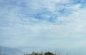 Biblioteca Civica di Alassio presentazione del progetto “E siediti un attimo” Biblioteca Civica di Alassio presentazione del progetto “E siediti un attimo” Mercoledì 28 maggio alle ore 21, presso l’Auditorium