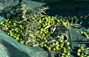 Centro Incontro San Bartolomeo Al Mare accoglie Giorgio Fedozzi