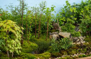 Euroflora 2025, i giovani nuovi protagonisti dell’evento EUROFLORA 2025, i giovani nuovi protagonisti dell’evento, soddisfatti l’88,4% propensi a ritornare l’88,9%, ricerca promossa da Regione