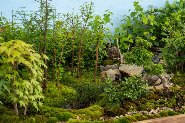 EUROFLORA 2025, i giovani nuovi protagonisti dell’evento, soddisfatti l’88,4% propensi a ritornare l’88,9%, ricerca promossa da Regione EUROFLORA 2025, i giovani nuovi protagonisti dell’evento, soddisfatti l’88,4% propensi a ritornare l’88,9%, ricerca promossa da Regione