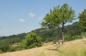 Giugno nelle Valli del Parco dell’Aveto GIUGNO nelle Valli del Parco dell'Aveto