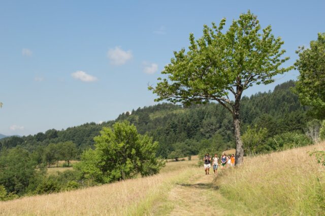 GIUGNO nelle Valli del Parco dell'Aveto GIUGNO nelle Valli del Parco dell'Aveto
