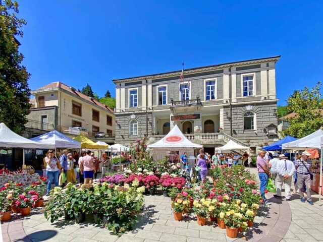 Festa delle Rose 2024 a Busalla: profumi, sapori e tradizioni della Valle Scrivia