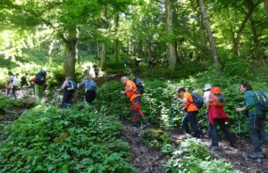 Loano non solo mare, il 22 maggio escursione in Val Tanaro Loano non solo mare, il 22 maggio escursione in Val Tanaro, il programma curato dalla sezione loanese del Cai