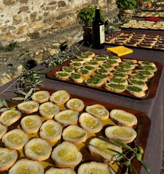 “Merenda nell’Oliveta 2025” ad Andora un pomeriggio tra natura, tradizione e gusto “Merenda nell’Oliveta 2025” ad Andora un pomeriggio tra natura, tradizione e gusto