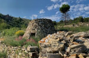 Sabato 24 maggio gita alla scoperta delle caselle liguri Sabato 24 maggio gita alla scoperta delle caselle liguri, Incontro aps, organizza un'escursione a Bestagnolo, Chiappa S.Bartolomeo al Mare