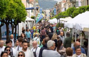 Aromatica protagonista a Olioliva: stand promozionale e cooking show con gli chef Mercurio e Biancardi Aromatica protagonista a Olioliva: stand promozionale e cooking show con gli chef Mercurio e Biancardi