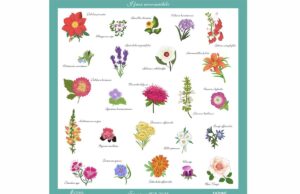 Daphné Sanremo celebra i 100 anni del CREA con un foulard in seta sostenibile ispirato ai fiori eduli Daphné Sanremo celebra i 100 anni del CREA con un foulard in seta sostenibile ispirato ai fiori eduli