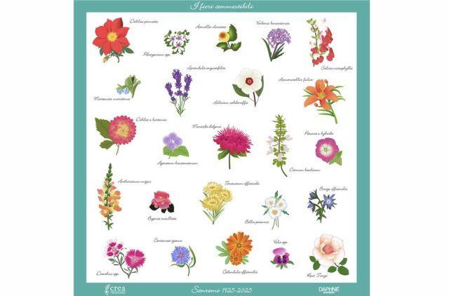 Daphné Sanremo celebra i 100 anni del CREA con un foulard in seta sostenibile ispirato ai fiori eduli