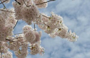 Primavera di novità: idee per rinfrescare la routine Primavera di novità: idee per rinfrescare la routine