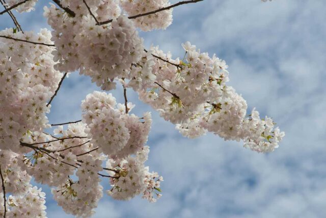 Primavera di novità: idee per rinfrescare la routine