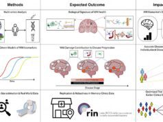 MSCA Postdoctoral Fellowships 2024: tre borse Marie Curie all’Università di Genova MSCA Postdoctoral Fellowships 2024: tre borse Marie Curie all’Università di Genova