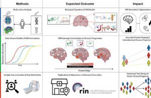 MSCA Postdoctoral Fellowships 2024: tre borse Marie Curie all’Università di Genova MSCA Postdoctoral Fellowships 2024: tre borse Marie Curie all’Università di Genova