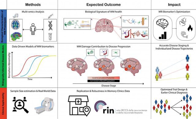 MSCA Postdoctoral Fellowships 2024: tre borse Marie Curie all’Università di Genova