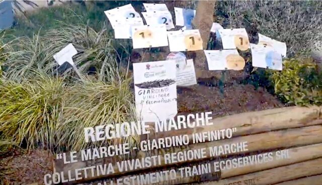 Euroflora 2025, domenica 4 maggio le premiazioni dei vincitori