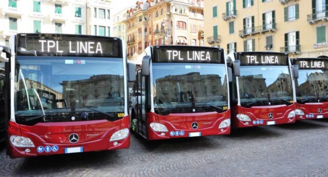 tpl linea