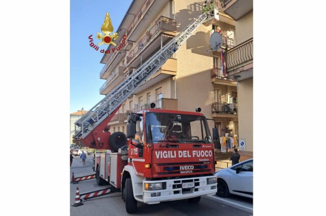Chiavari, piccione finisce in una rete, salvato dai VVF Chiavari, piccione finisce in una rete, salvato dai VVF