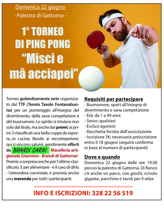Torneo goliardicamente serio organizzato dal TTF (Tennis Tavolo Fontanabuona)
