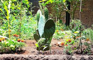Ponentini a Venezia alla Biennale Architettura