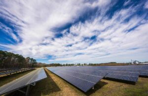 Rendi produttivi i terreni non utilizzati: la svolta green per le imprese Rendi produttivi i terreni non utilizzati: la svolta green per le imprese