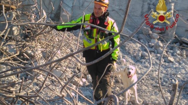 maya vigili fuoco ponte morandi